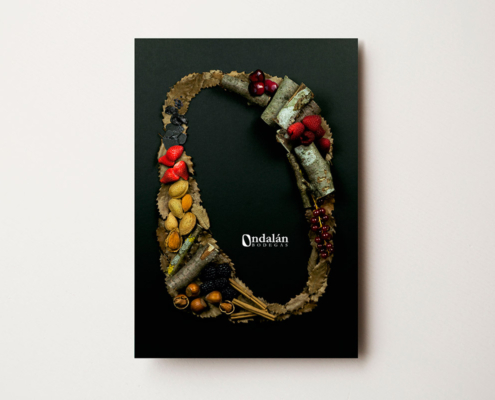 Portada de folleto para Bodegas Ondalán