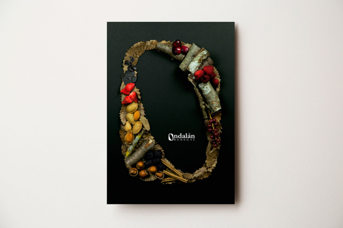 Portada de folleto para Bodegas Ondalán